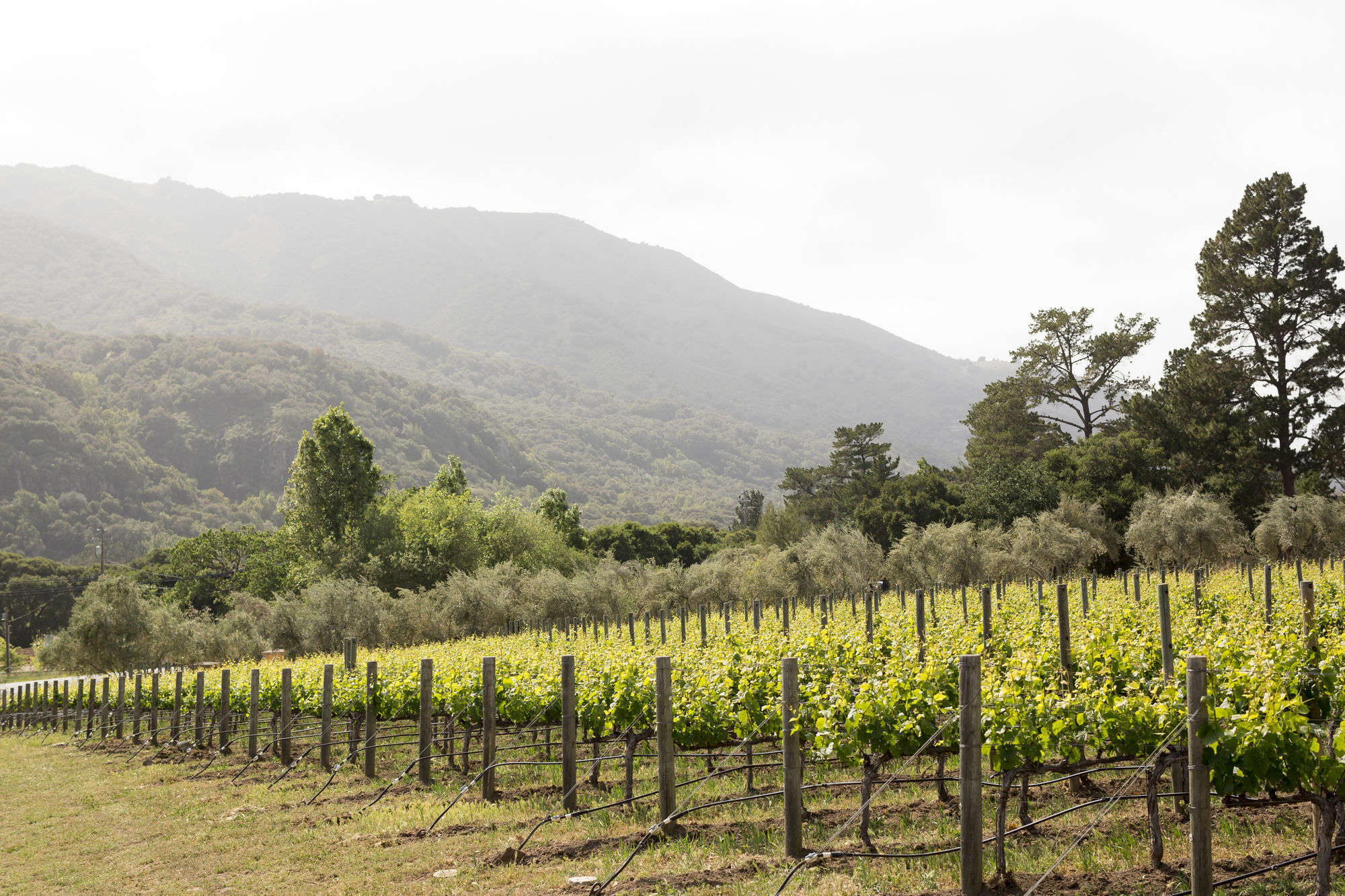 Bernardus Lodge & Spa Carmel Valley Luaran gambar